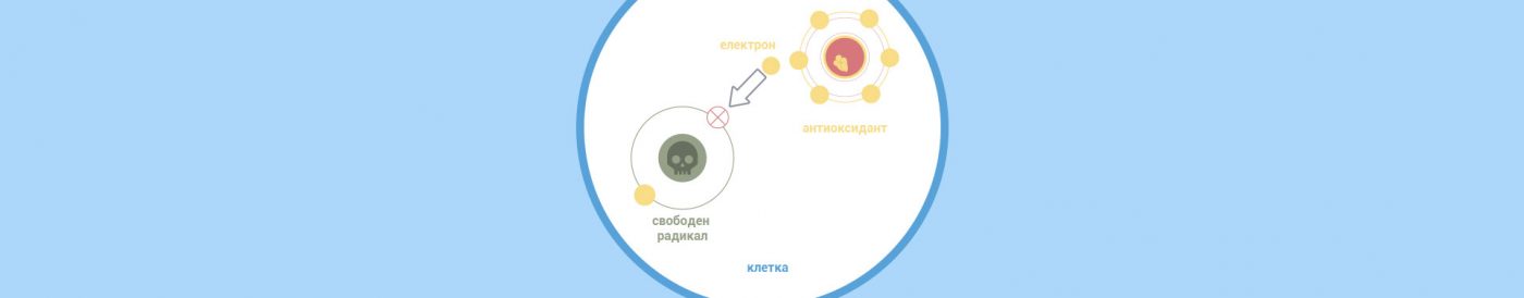свободни радикали