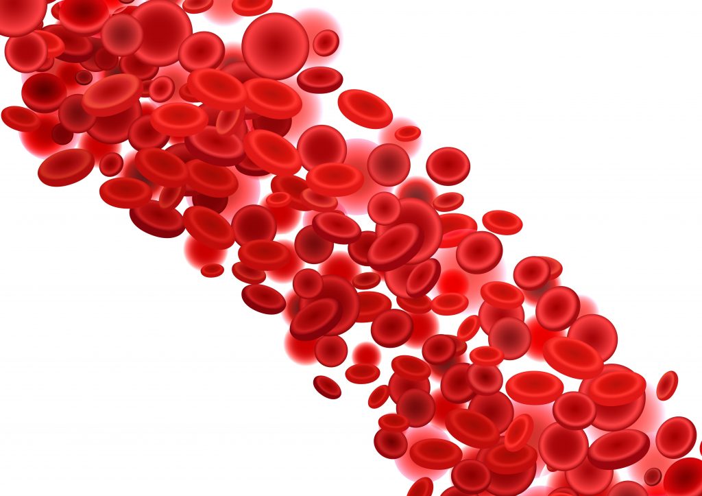 червени кръвни клетки